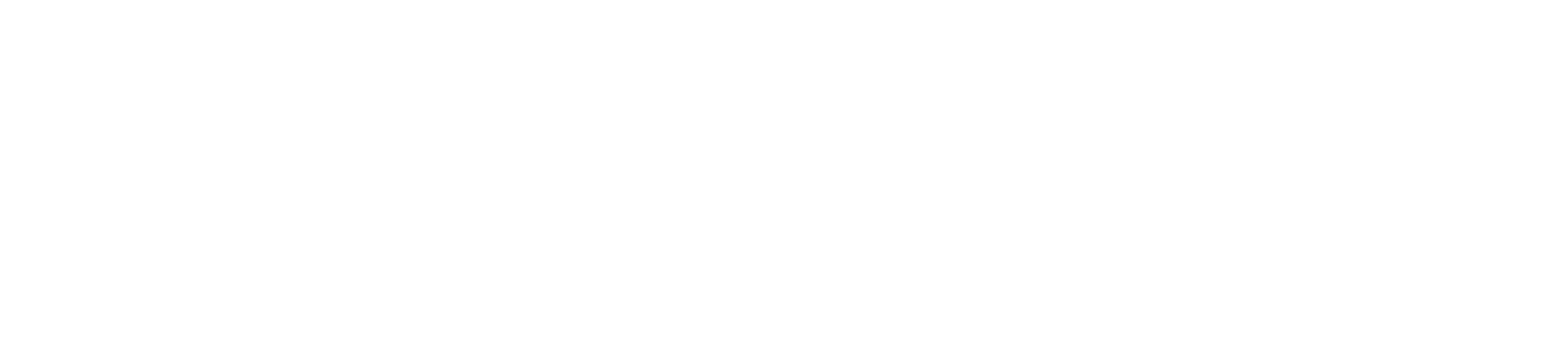 SKN Systems Logo